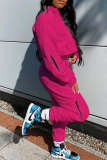 White Casual Solid Zipper Zipper Collar Long Sleeve Two Pieces