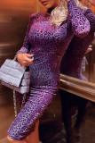 Purple Fashion Leopard Basic Turtleneck Long Sleeve Dresses