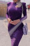 Purple Fashion Leopard Basic Turtleneck Long Sleeve Dresses