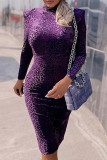 Purple Fashion Leopard Basic Turtleneck Long Sleeve Dresses
