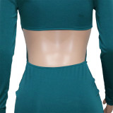 Green Sexy Solid Hollowed Out Patchwork Buckle Fold Turndown Collar One Step Skirt Dresses