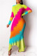 Multicolor Fashion Casual Print Asymmetrical Turtleneck Long Sleeve Dresses