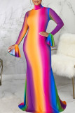 Multicolor Casual Elegant Print Patchwork Turtleneck Long Sleeve Dresses