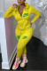 Yellow Fashion Casual Print Basic Zipper Collar Long Sleeve Two Pieces