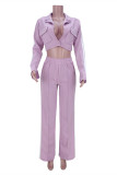 Light Purple Fashion Casual Solid Split Joint Turndown Collar Long Sleeve Two Pieces