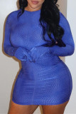 Blue Sexy Casual Print Basic O Neck Long Sleeve Dresses