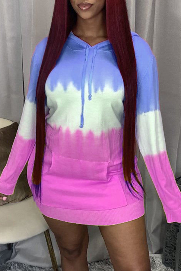 Blue Pink Fashion Casual Print Basic Hooded Collar Long Sleeve Dresses