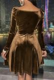 Brown Fashion Sexy Solid Basic V Neck Long Sleeve Dresses