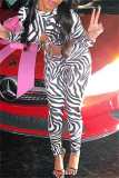 Zebra Fashion Sexy Print Bandage Hollowed Out Turtleneck Long Sleeve Two Pieces