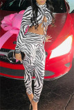Zebra Fashion Sexy Print Bandage Hollowed Out Turtleneck Long Sleeve Two Pieces