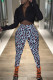 Leopard Print Fashion Casual Print Basic V Neck Long Sleeve Two Pieces