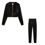 Pink Fashion Casual Solid Basic Zipper Collar Long Sleeve Two Pieces