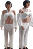 White Sexy Solid Hollowed Out Split Joint See-through Mesh Halter Plus Size Two Pieces