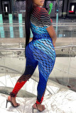 Blue Fashion Casual Print Basic O Neck Short Sleeve Two Pieces