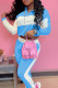 Sky Blue Fashion Casual Patchwork Basic Zipper Collar Long Sleeve Two Pieces