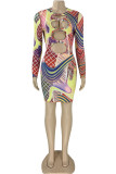 Multicolor Sexy Print Hollowed Out Patchwork O Neck Pencil Skirt Dresses
