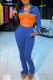Blue Fashion Casual Print Patchwork Turndown Collar Long Sleeve Two Pieces