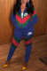 Blue Fashion Casual Print Patchwork Turndown Collar Long Sleeve Two Pieces