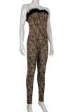 Brown Fashion Sexy Print Leopard Patchwork Backless Strapless Skinny Jumpsuits