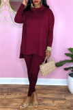 Burgundy Fashion Casual Solid Basic Turtleneck Long Sleeve Two Pieces