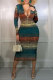 Multicolor Fashion Sexy Print Patchwork Zipper Collar Long Sleeve Dresses