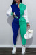Turquoise Fashion Casual Solid Patchwork Long Sleeve Two Pieces