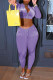 Purple Fashion Casual Solid Basic Zipper Collar Long Sleeve Two Pieces
