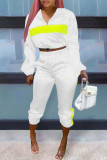 White Casual Solid Patchwork Zipper Collar Long Sleeve Two Pieces