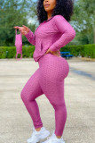 Pink Sexy Sportswear Patchwork Zipper Collar Long Sleeve Two Pieces (With Mask)