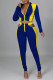 Blue Fashion Casual Patchwork Hollowed Out Zipper Collar Long Sleeve Two Pieces
