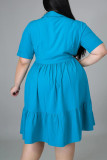 Light Blue Fashion Casual Plus Size Solid Basic Turndown Collar A Line Dresses