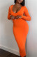Orange Sexy Casual Solid Basic O Neck Long Sleeve Dresses