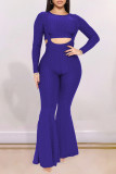 Pink Fashion Casual Solid Basic O Neck Long Sleeve Two Pieces