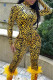 Yellow Fashion Casual Print Basic Turtleneck Long Sleeve Two Pieces