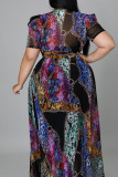 Colour Fashion Casual Patchwork Print See-through O Neck Plus Size Tops