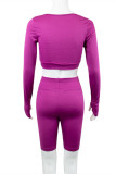 Purple Casual Sportswear Solid Basic O Neck Long Sleeve Two Pieces