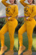 Earth Yellow Fashion Casual Print Basic Bateau Neck Long Sleeve Two Pieces