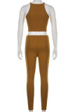 Brown Sexy Solid Split Joint See-through O Neck Sleeveless Two Pieces