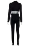 Black Sexy Solid Mesh V Neck Long Sleeve Two Pieces