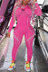 Rose Red Fashion Sportswear Letter Print Basic O Neck Long Sleeve Two Pieces
