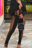 Black Sexy Solid Mesh V Neck Long Sleeve Two Pieces