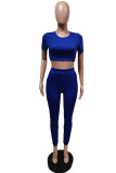 Royal Blue Fashion Sexy Solid Basic Zipper Collar Short Sleeve Two Pieces