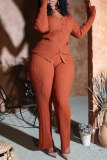 Brown Fashion Casual Solid Basic V Neck Long Sleeve Two Pieces