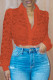 Orange Fashion Sexy Patchwork See-through Turndown Collar Tops