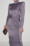 Brown Fashion Solid Basic Turtleneck Long Sleeve Dresses