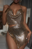 Gold Fashion Sexy Leopard Patchwork Backless Halter Sleeveless Two Pieces