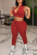 Red Casual Sportswear Solid Vests Pants Zipper Collar Sleeveless Two Pieces