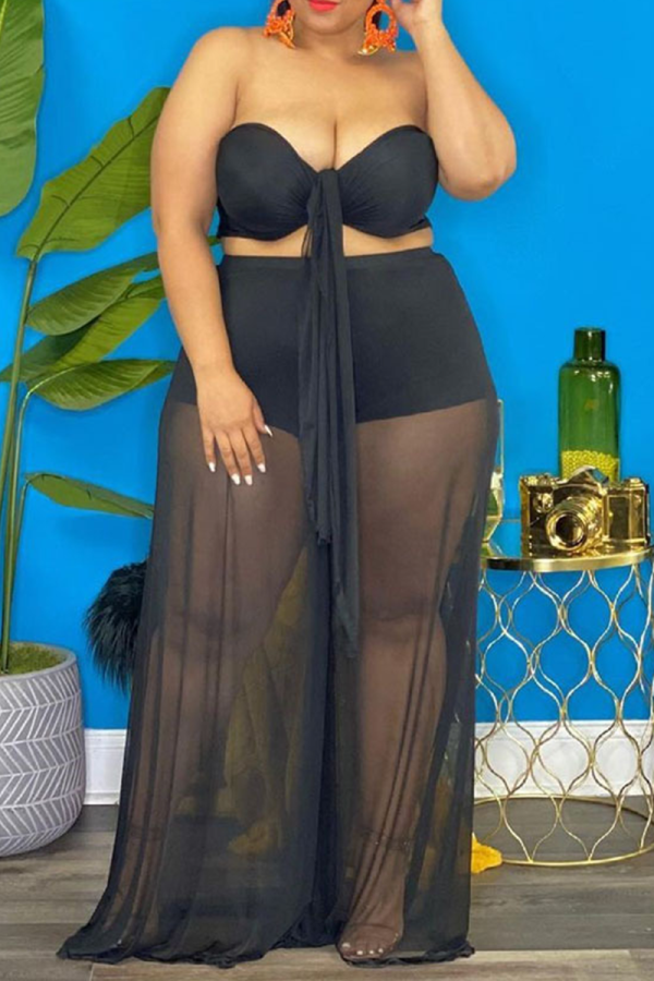 Black Sexy Solid Mesh Strapless Mesh Dress Plus Size Two Pieces