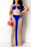 Blue Sexy Solid Split Joint See-through Halter Straight Dresses
