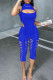 Blue Sexy Casual Solid Hollowed Out Asymmetrical Turtleneck Sleeveless Two Pieces